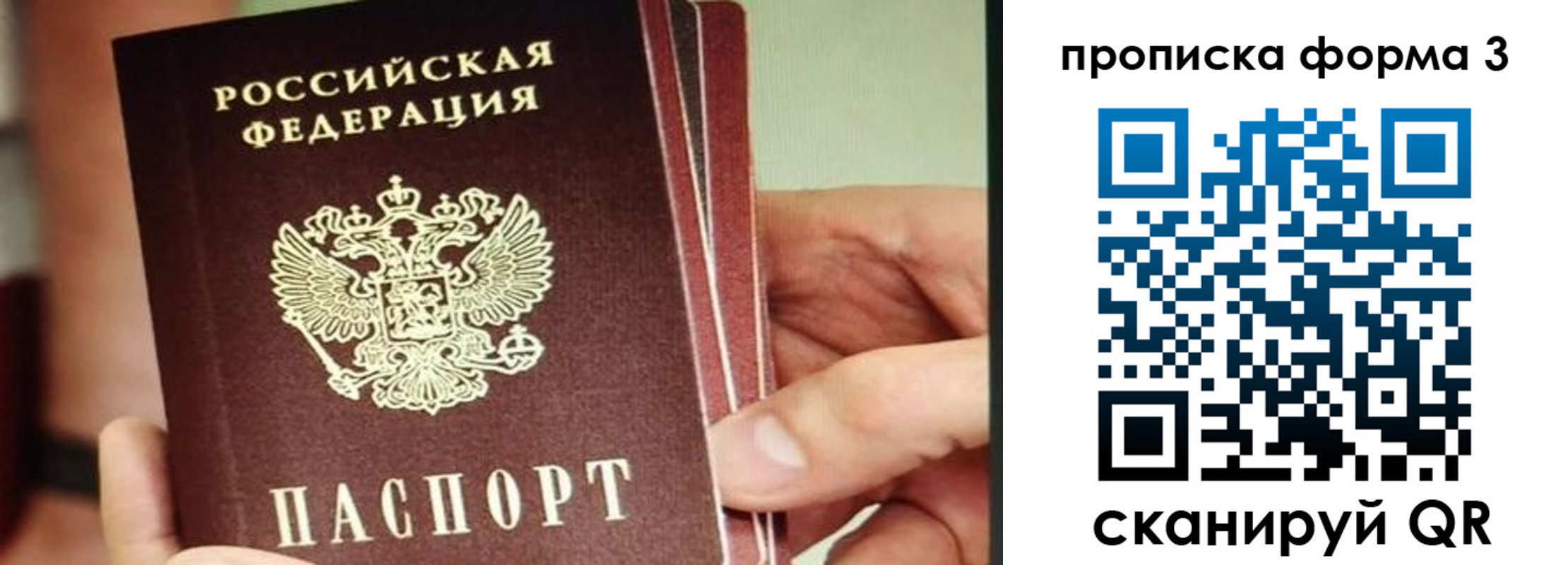прописка законно в Большом Камне